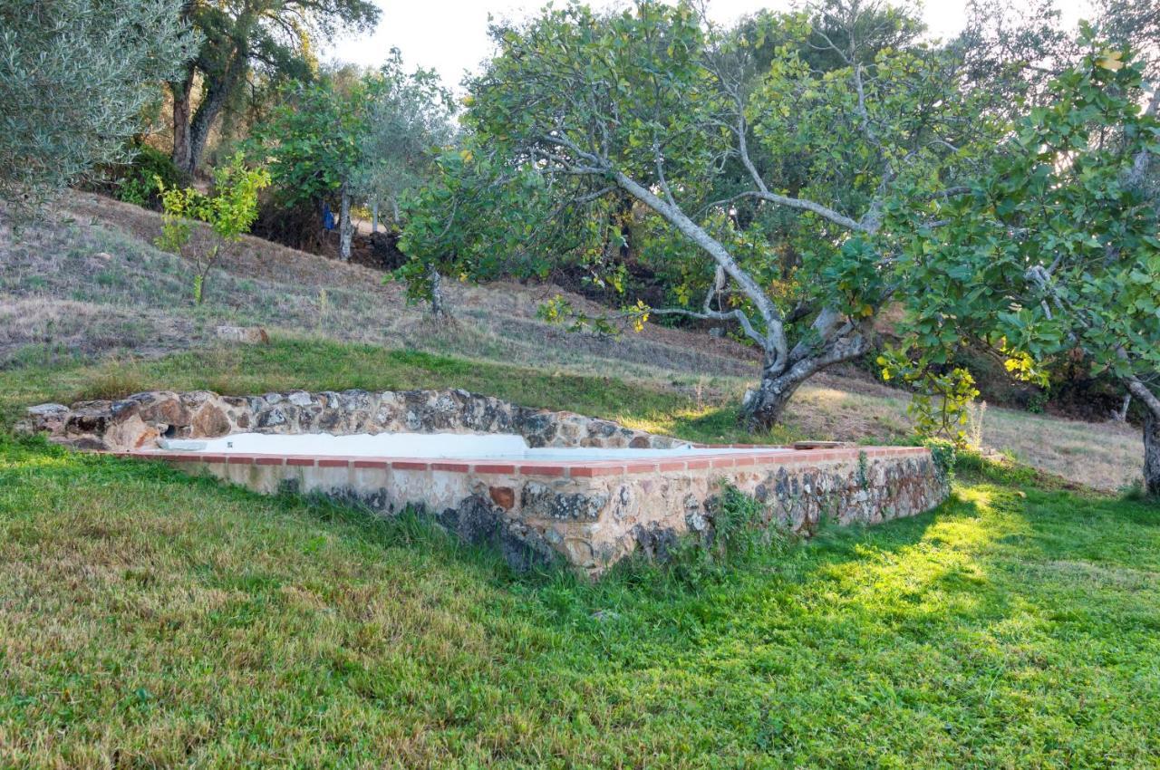 Vivienda Rural Olivar Del Chanza กอร์เตกานา ภายนอก รูปภาพ