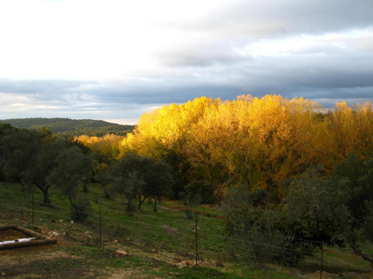 Vivienda Rural Olivar Del Chanza กอร์เตกานา ภายนอก รูปภาพ